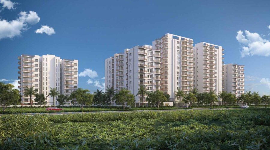 499213453O-1718784787480_page-0004